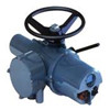 DJQ-610 智能一體化角行程電動執(zhí)行機(jī)構(gòu)